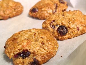Oat and cranberry cookies at Wabi-Sabi Cafe in Shimoda