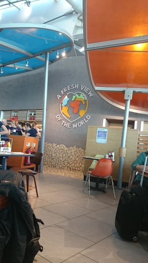 Decoration at LHR - Giraffe - T5 in West London