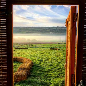VIEW FROM THE SHOP at Vincent's Eco Farm in Zebbieh