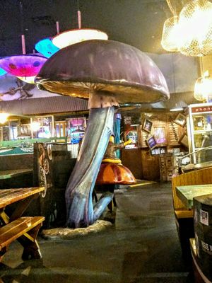 dining area at Mellow Mushroom in Destin