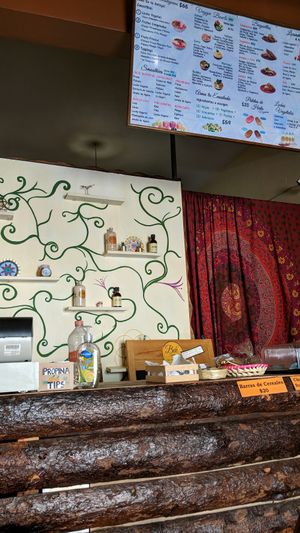 counter  at Bek Semilla de Vida in San Cristobal De Las Casas
