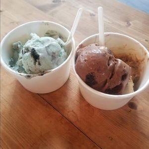 Mint Chip and Rockiest Road. at Anti Social Icecream Co in Austin