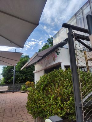  at Dank Augusta in Cologne