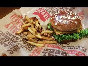 Beyond Meat Burger at Epic Burger - Streeterville in Chicago