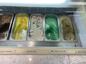 Gelato flavors 2020-09-27 at Vegan Donut Gelato in Oakland