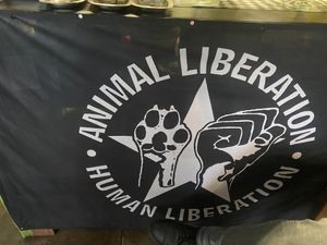   at Veggie Momi in Albufeira