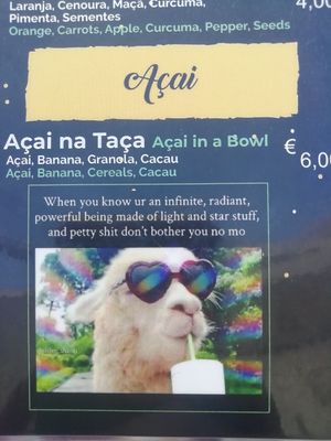 Llama at Veggie Momi in Albufeira