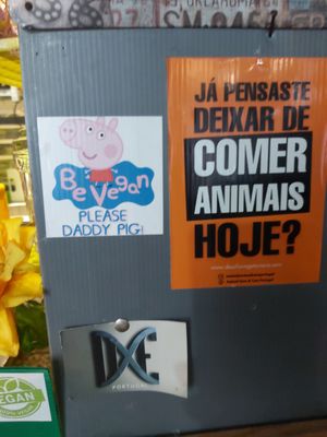  at Veggie Momi in Albufeira