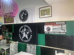   at Veggie Momi in Albufeira