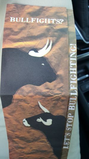  at Veggie Momi in Albufeira