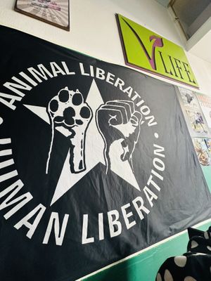   at Veggie Momi in Albufeira