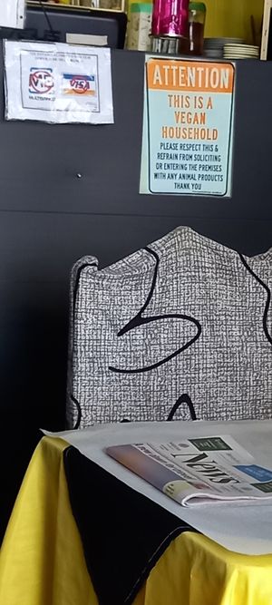  at Veggie Momi in Albufeira