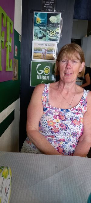  at Veggie Momi in Albufeira