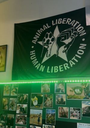   at Veggie Momi in Albufeira