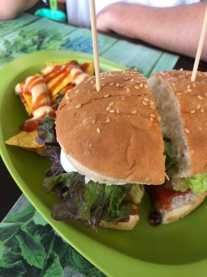 nice vegan burger at Veggie Momi in Albufeira