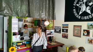 Restaurant Interior at Veggie Momi in Albufeira