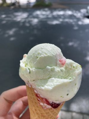 Wilde Kombi: Gurke-Minze-Granatapfel  at Eis 2000 in Hannover