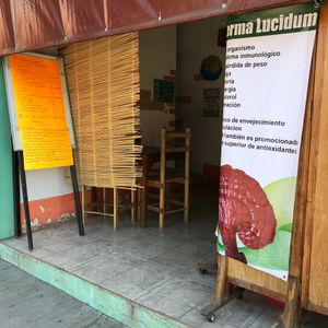 From the street  at Schizandra in Oaxaca