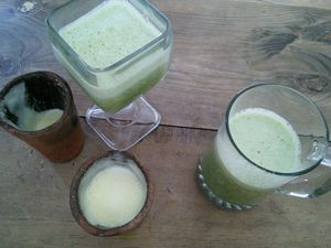 Gigantic juices! at Schizandra in Oaxaca