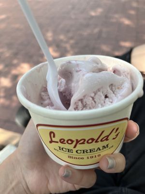 Vegan Strawberry   at Leopold's Ice Cream in Savannah