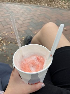 Raspberry Sorbet Float in Limeade  at Leopold's Ice Cream in Savannah