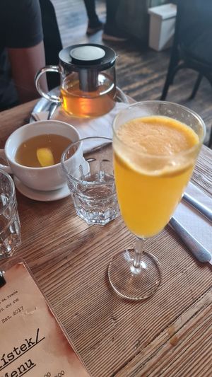 Mimosa at Satsang in Prague