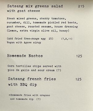   at Satsang in Prague