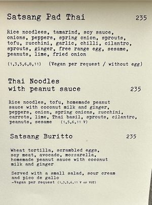   at Satsang in Prague