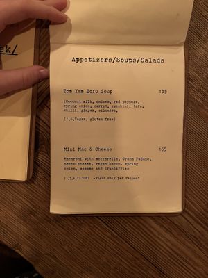   at Satsang in Prague