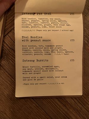   at Satsang in Prague