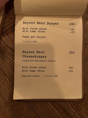   at Satsang in Prague