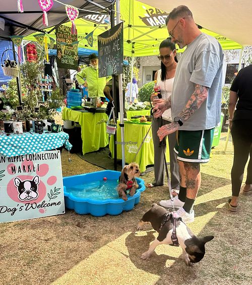  at Hare Krishna in Johannesburg