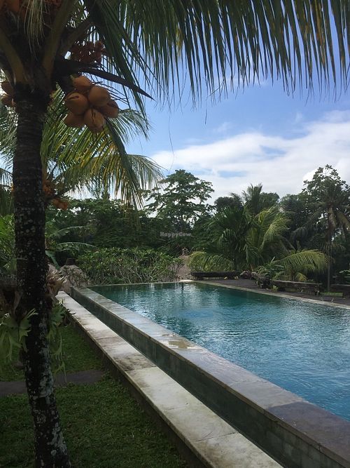 Pool with a view at Ubud Sari Health Resort in Ubud