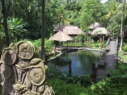 Beautiful garden at Ubud Sari Health Resort in Ubud