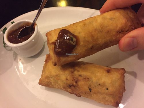 spring rolls (3) at Iranian Artist's Forum - Khaneh Honarmandan Iran in Tehran