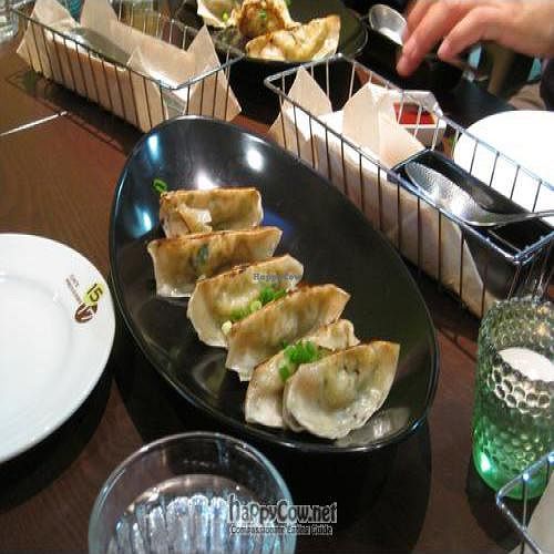 Gyoza at Cafe Proverbs 15:17 in Kyoto