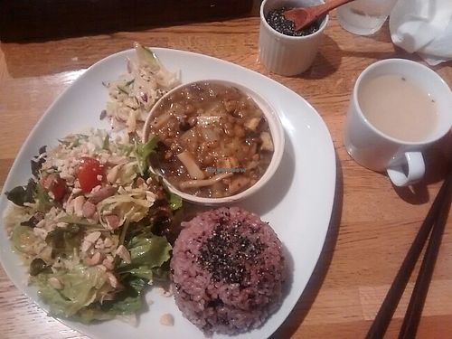 Lunch of the day at Green Earth in Osaka