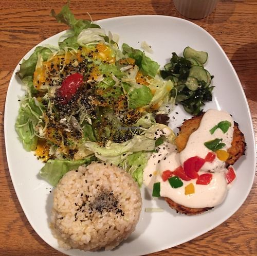 great lunch and great service at Green Earth at Green Earth in Osaka