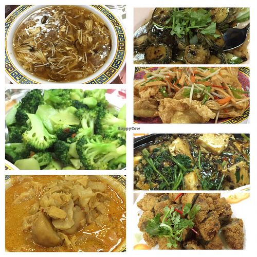 yes,  i love the mock shark fins soup at Happy Realm Vegetarian in Central Singapore