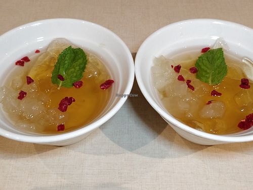 Chilled Aloe Vera with Grass Jelly 香茅芦荟冻 at Ling Zhi Restaurant 灵芝 - Orchard in Central Singapore