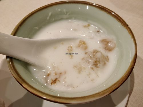 Almond Cream with Peach Gum 桃胶杏仁茶 at Ling Zhi Restaurant 灵芝 - Orchard in Central Singapore