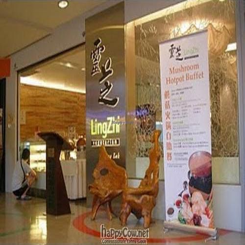 Lingzhi Vegetarian Restaurant @ Novena Square Spore at  Ling Zhi Restaurant 灵芝 - Novena in Central Singapore