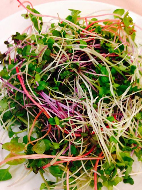 So many sprouts! at Spring - Heping East Road in Taipei