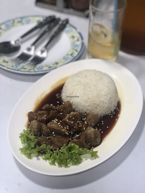 Vegan fried pork in black soy sauce with rice at Ruyi Vegetarian in Bangkok