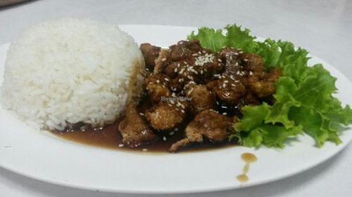 Mock meat and rice at Ruyi Vegetarian in Bangkok