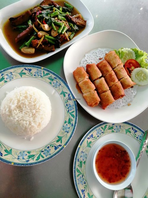 Roast Duck, rice and Spring Rolls. at Ruyi Vegetarian in Bangkok