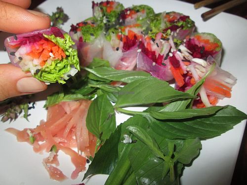 fresh rice paper rolls at Aum in Chiang Mai
