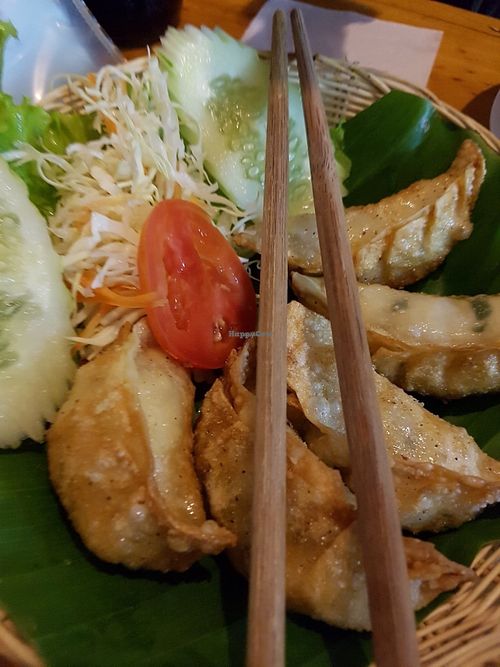 Dumplings  at Aum in Chiang Mai