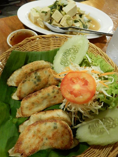 Veggie gyoza, steamed tofu at Aum in Chiang Mai