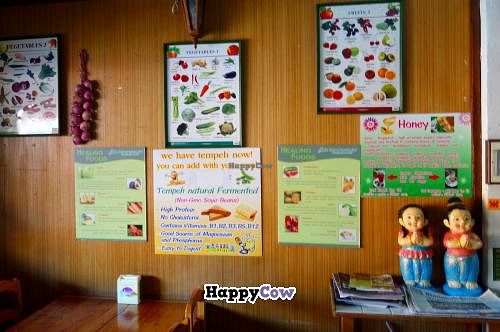 Aum at Aum in Chiang Mai